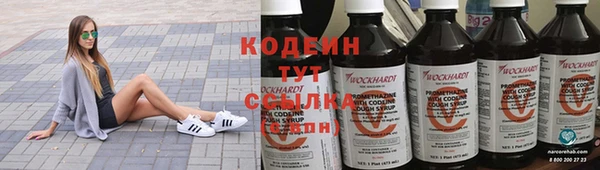 шишки Осинники