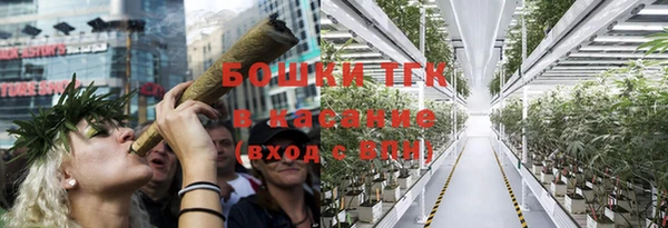 прущие крисы Абаза