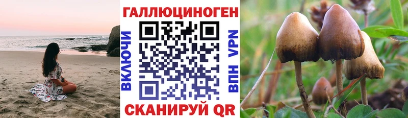 Псилоцибиновые грибы ЛСД Плавск